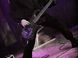 milo_palace 13